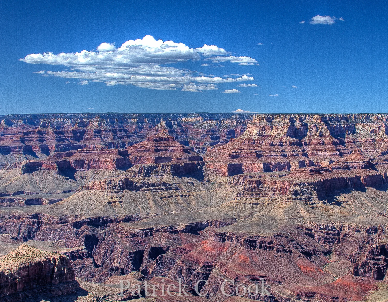 HDR_81767778_PatrickCook.jpg