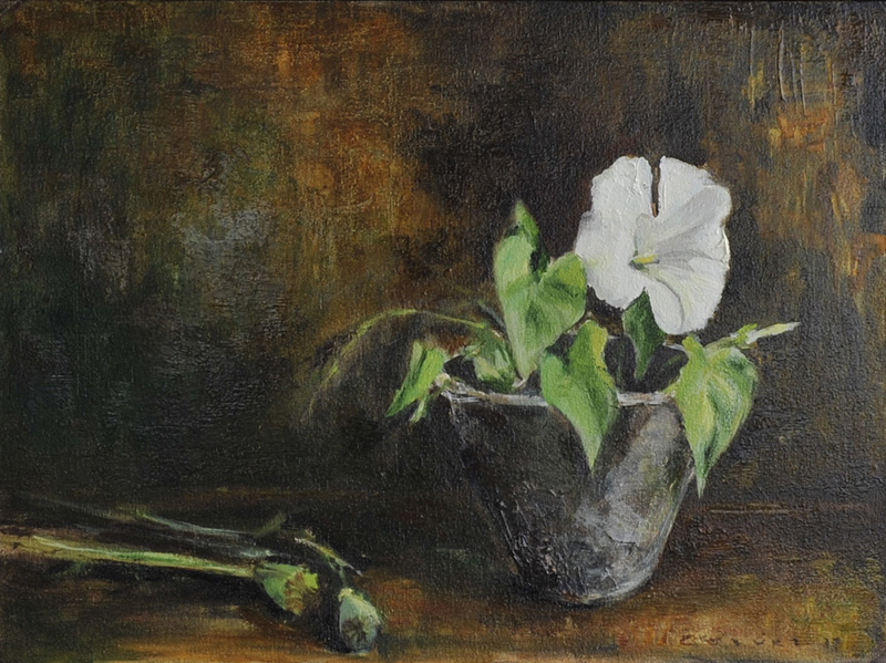 Bindweed in old pottery