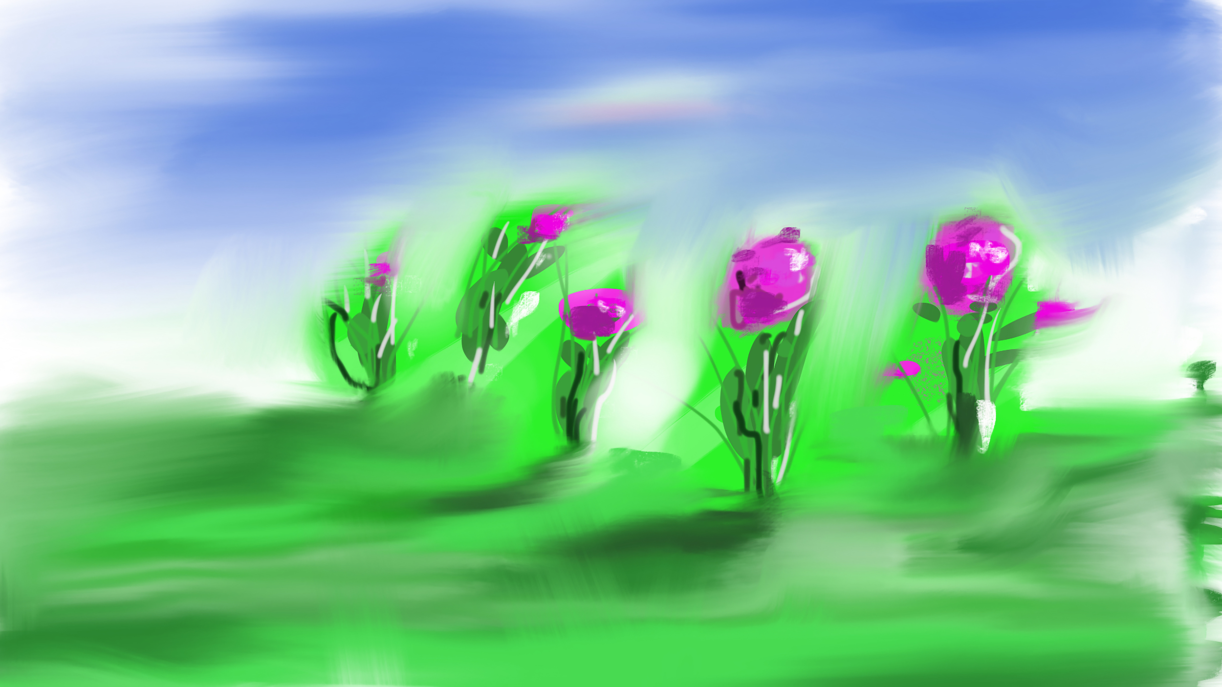 Windy day.jpg