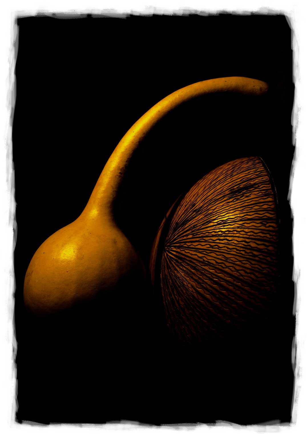© Copyright Wayne Crossley - waynecrossley.photography All rights reserved