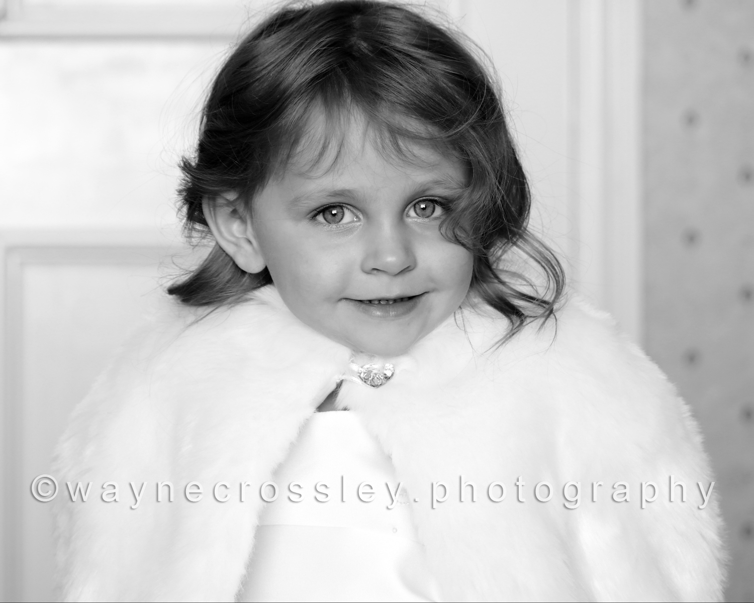© Copyright Wayne Crossley - waynecrossley.photography All rights reserved