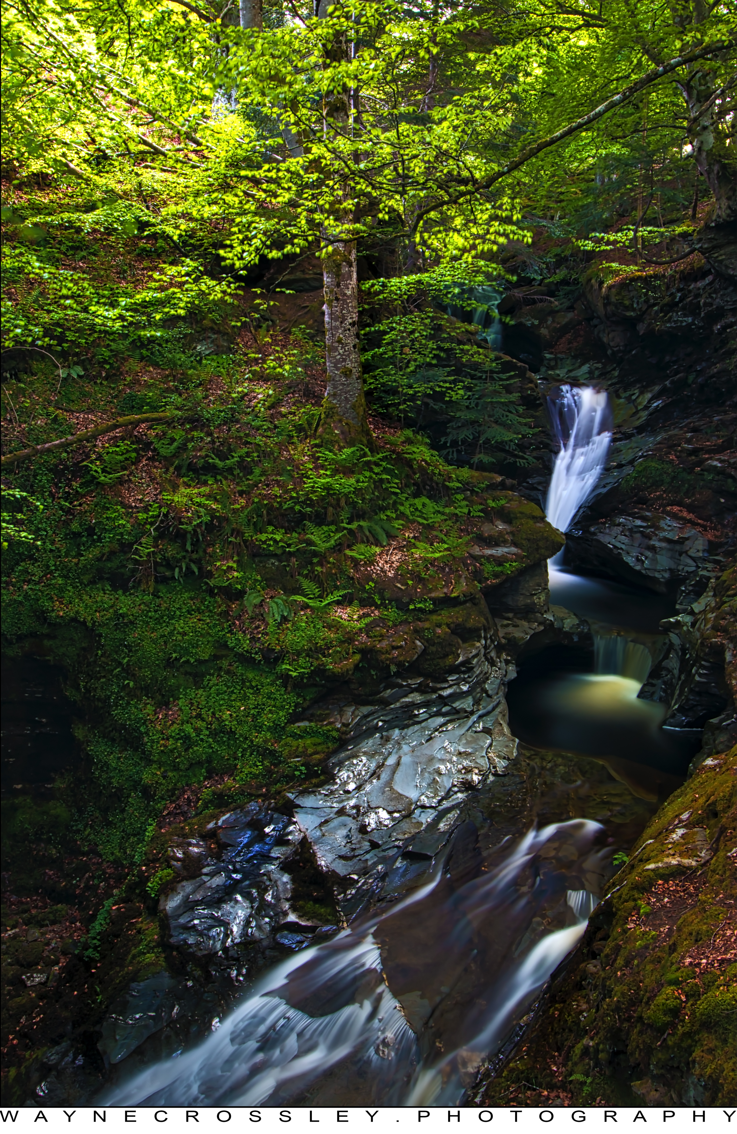 Falls of Acharn 4.jpg