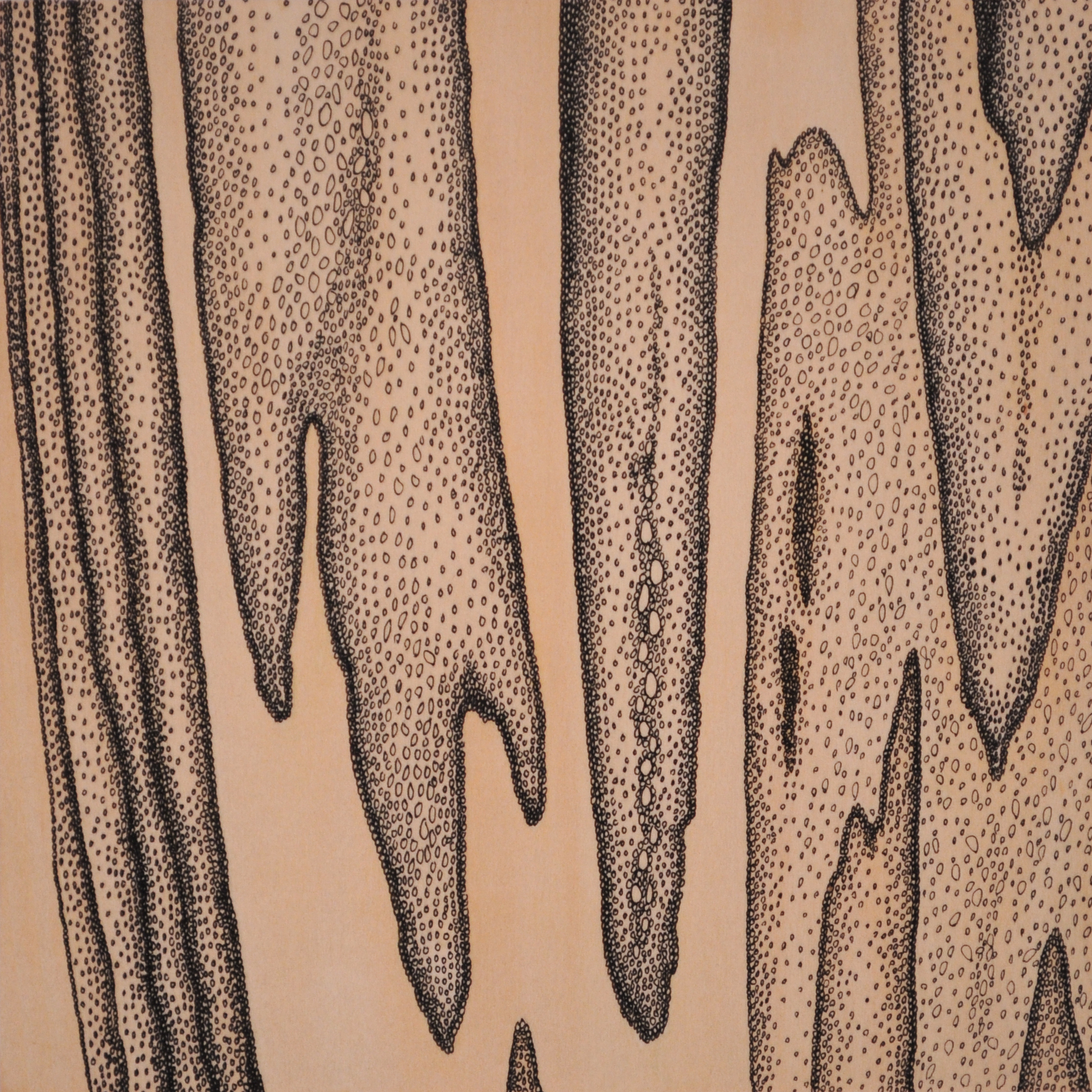 Grain #2