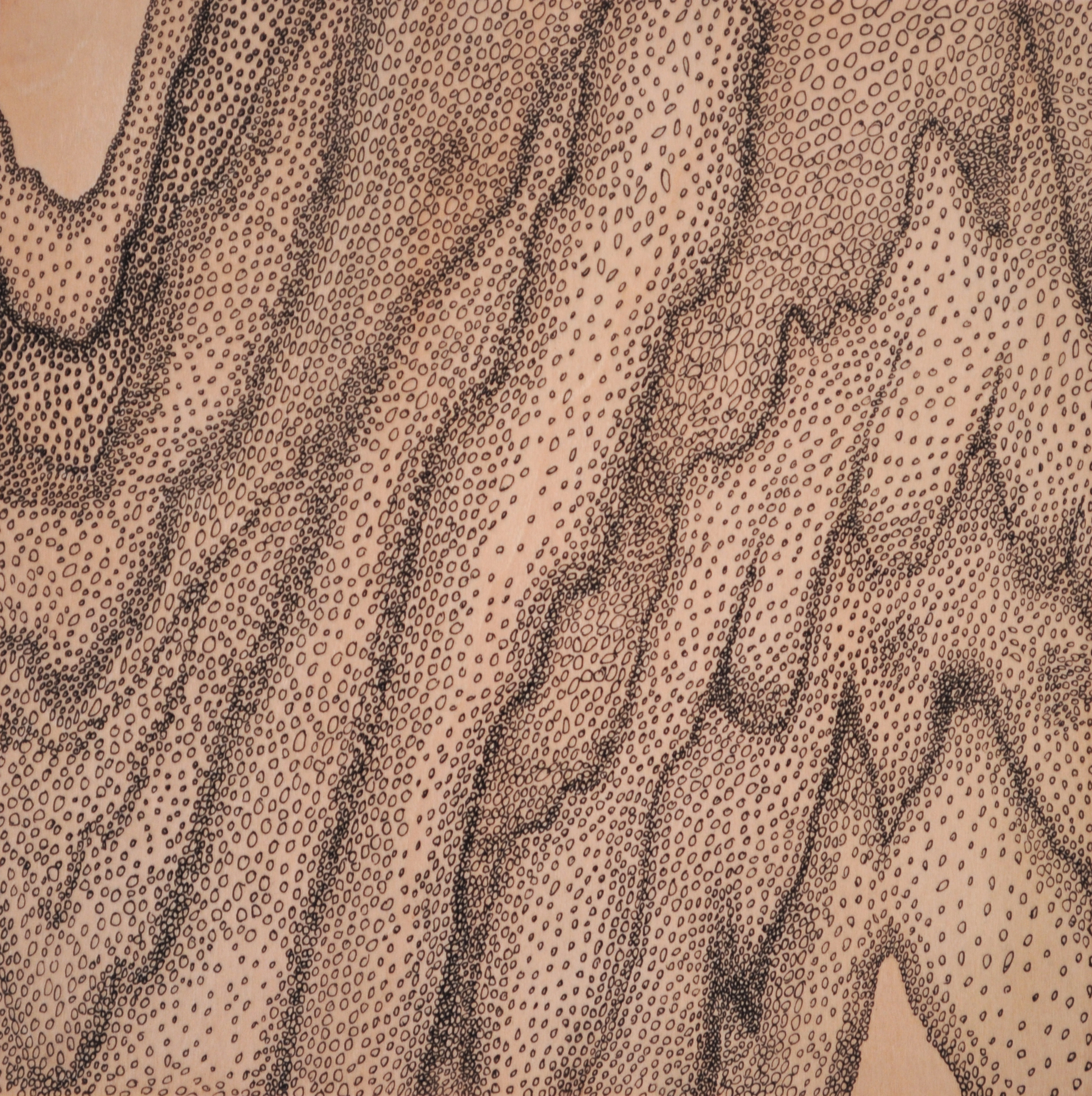 Grain #1