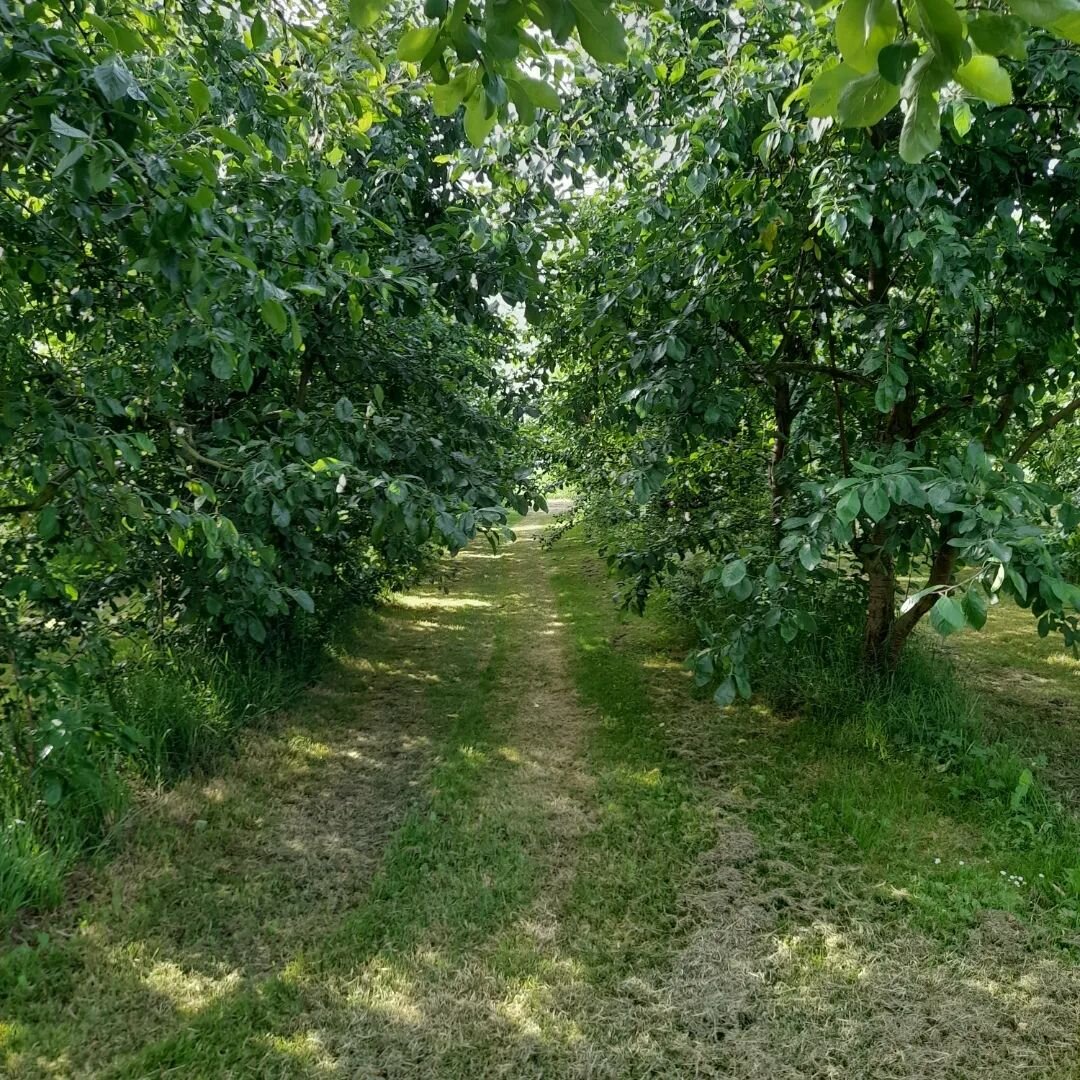 Buren en Uden, Nederland.