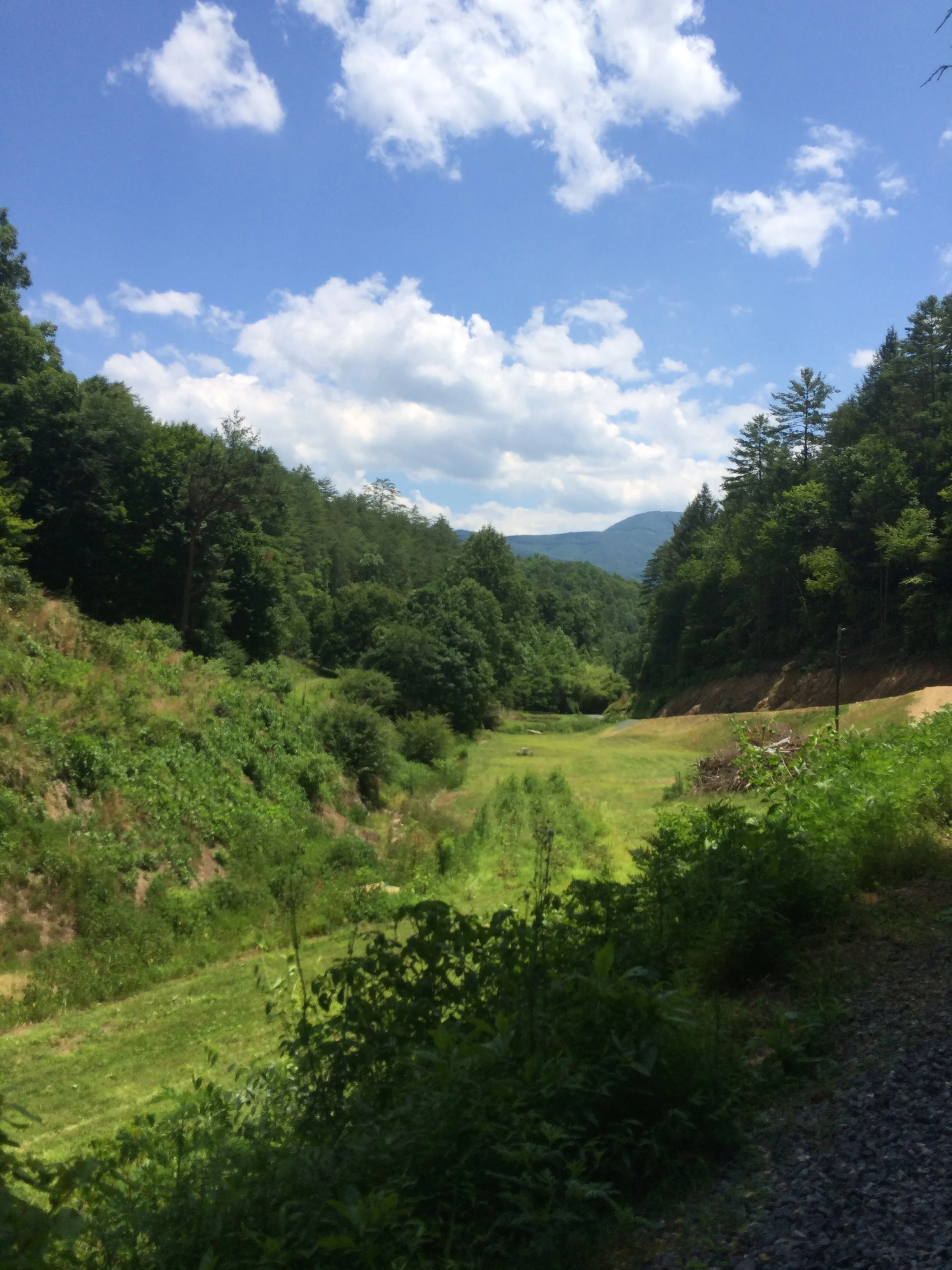IMG_3273.jpeg