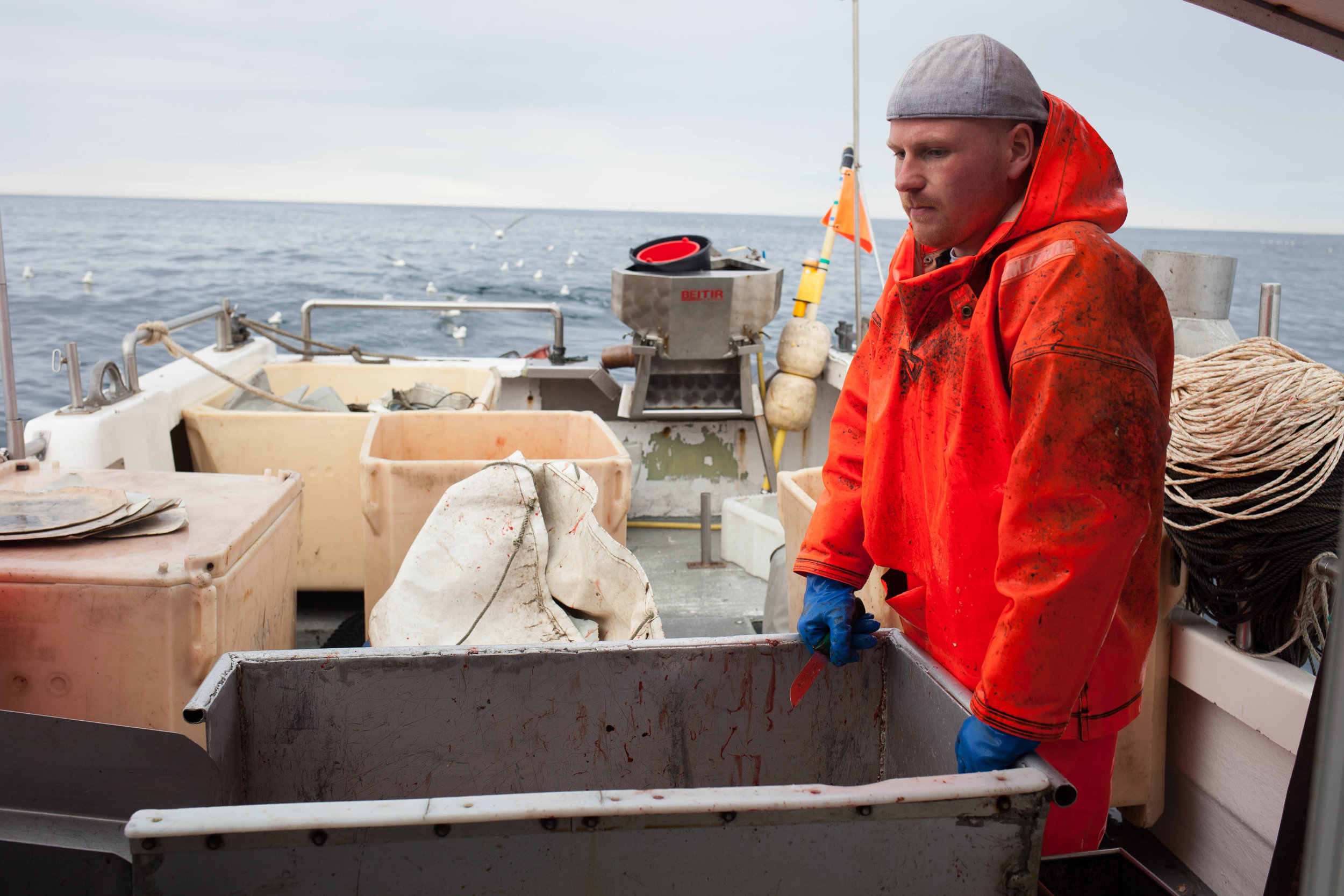 Katrina+Jane+Perry_Iceland+Grimsey+Portfolio+WEB+2016-0050.jpg