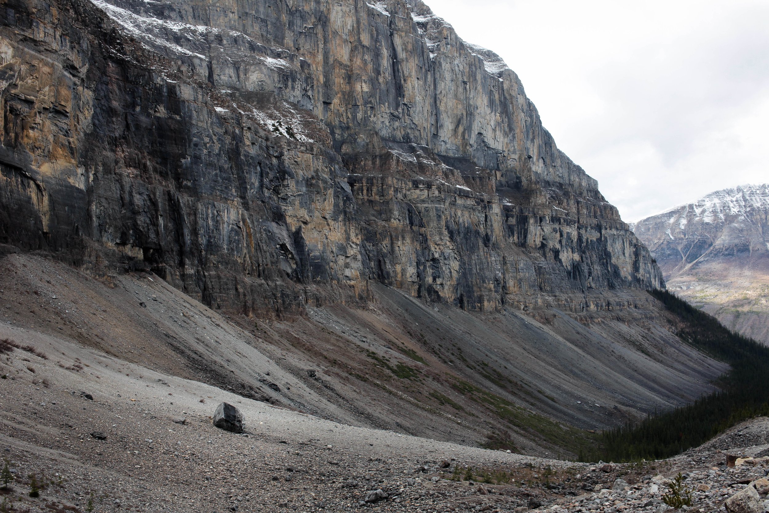 KJP Banff_thicket 2014_WEB-379.jpg