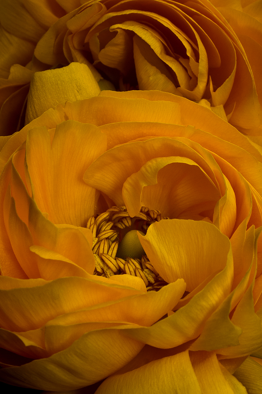 P4186827.jpg