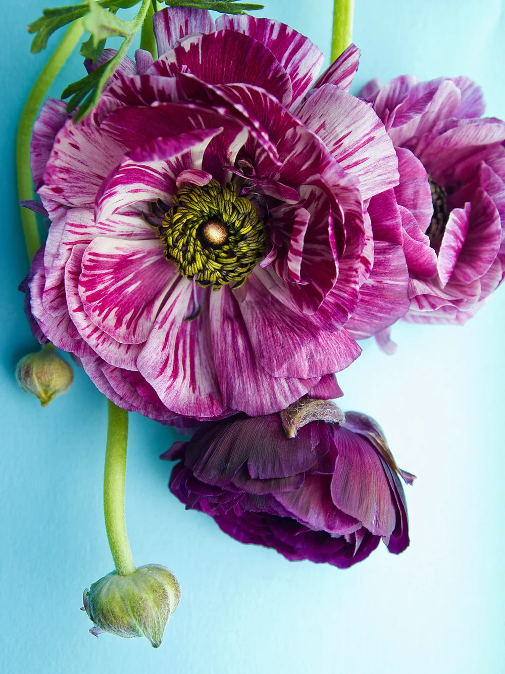 20120419_1960_H.jpg