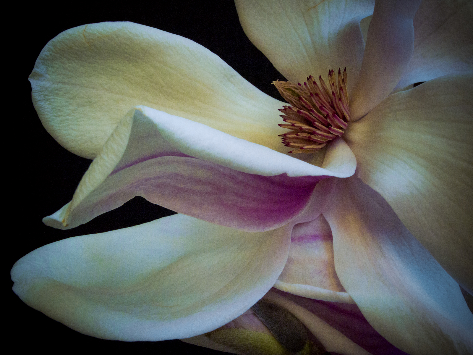 20120320_1184_web.jpg