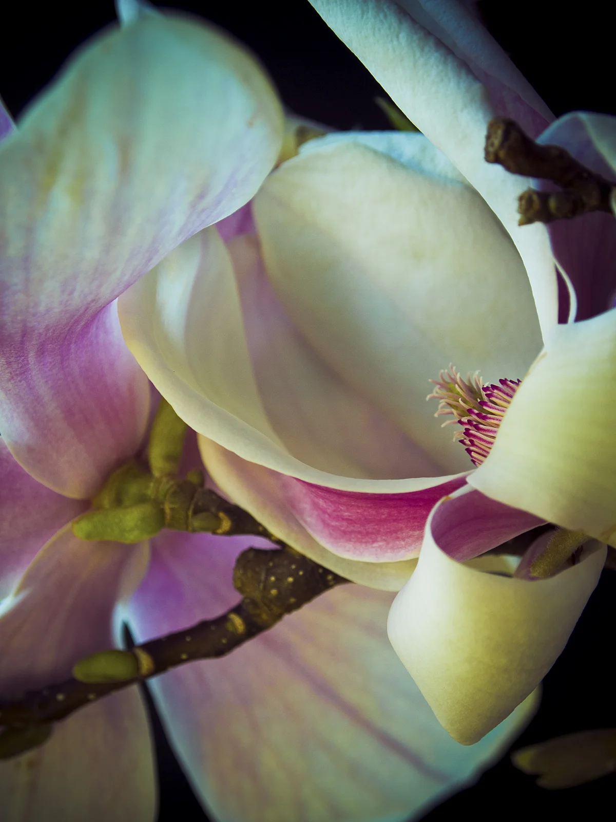 20120320_1232_12x16_2015web.jpg