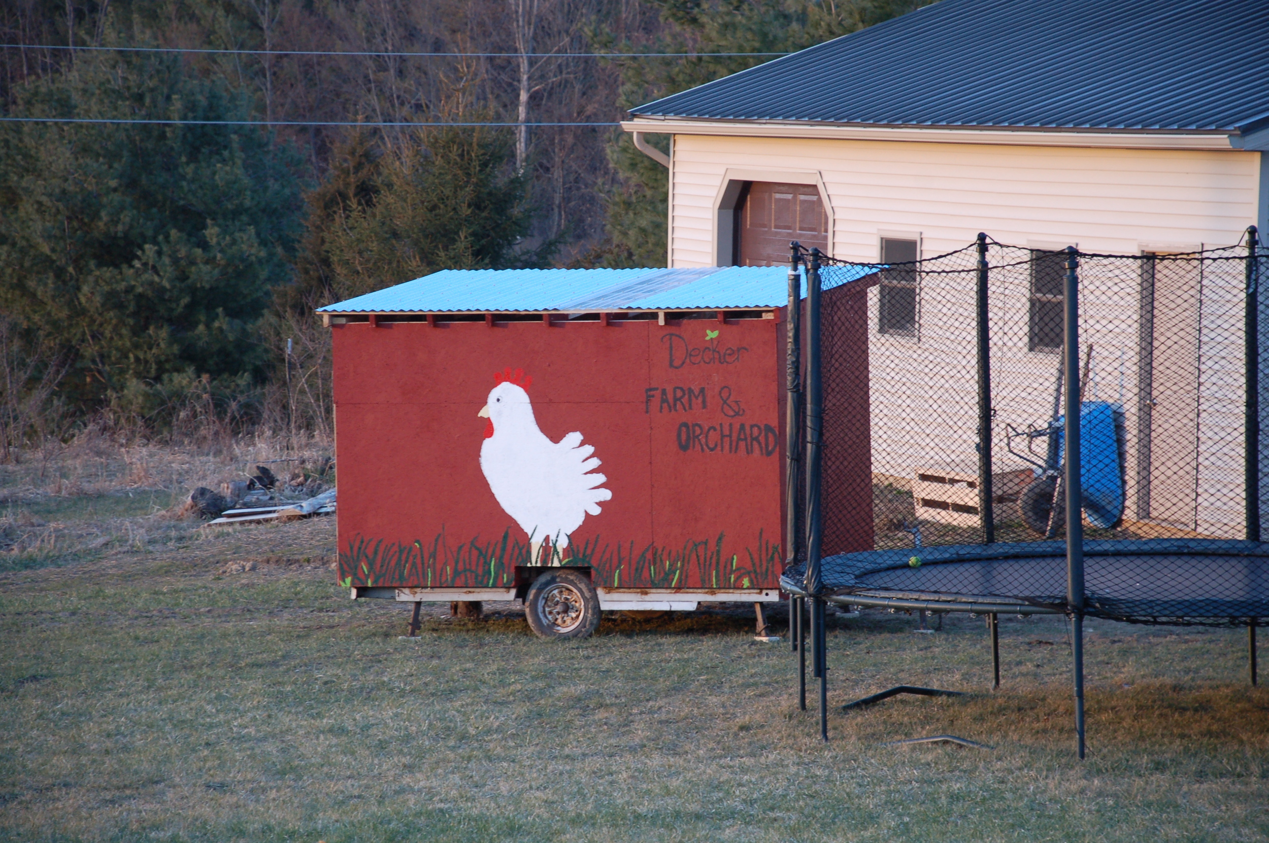 Chicken Coop.JPG