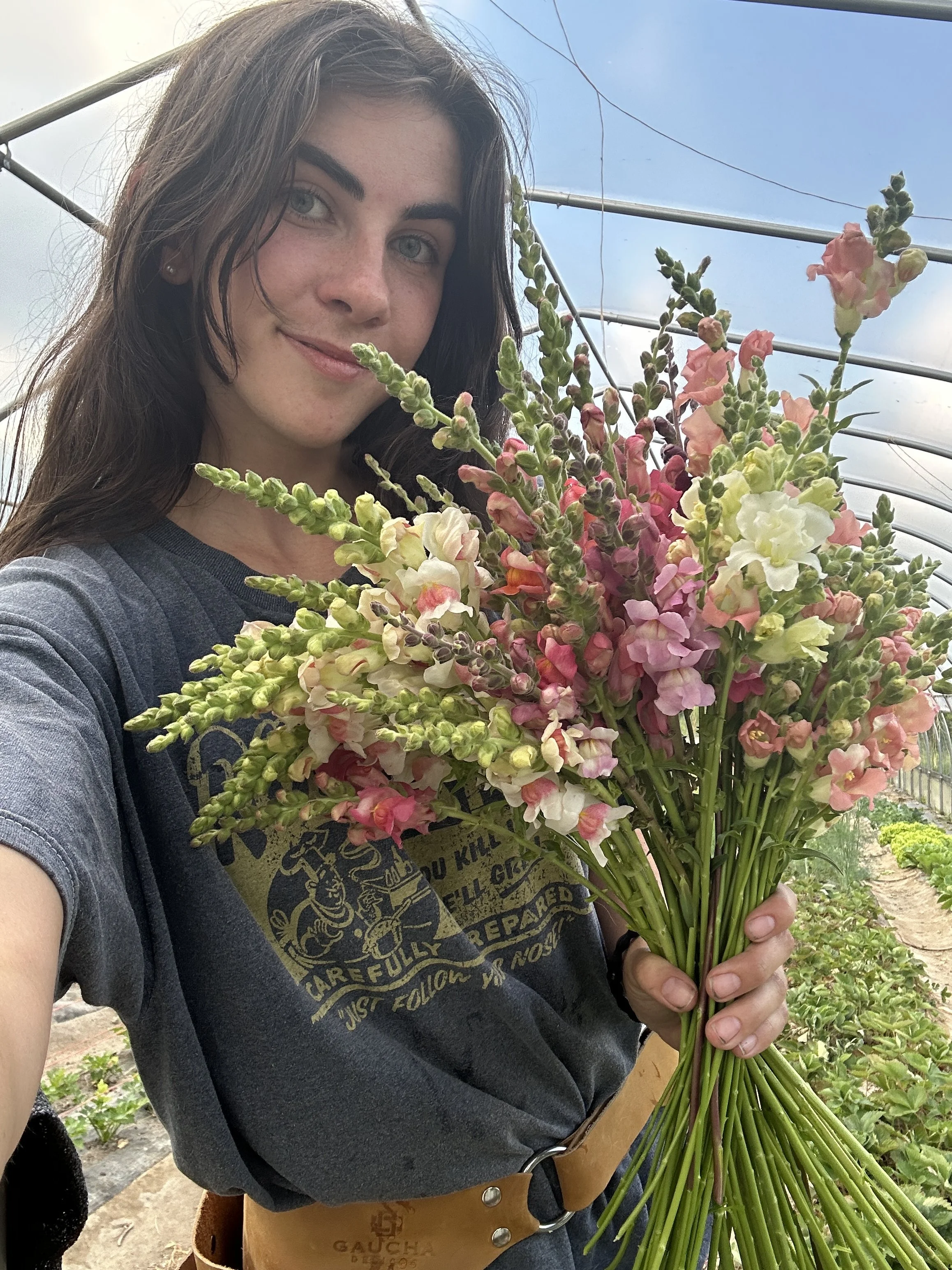 DFO flowers_6264.JPG