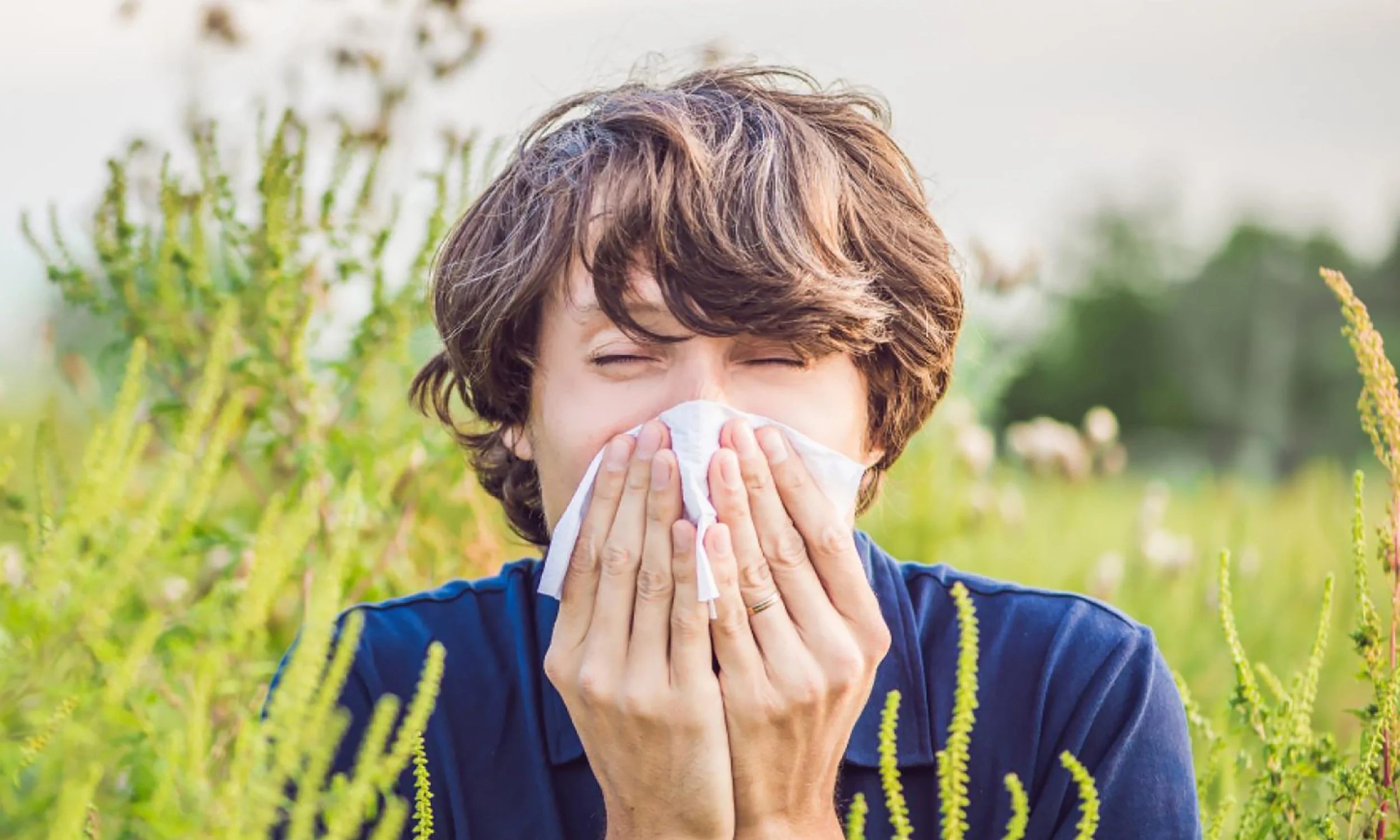 polen_alergias_campo.jpeg