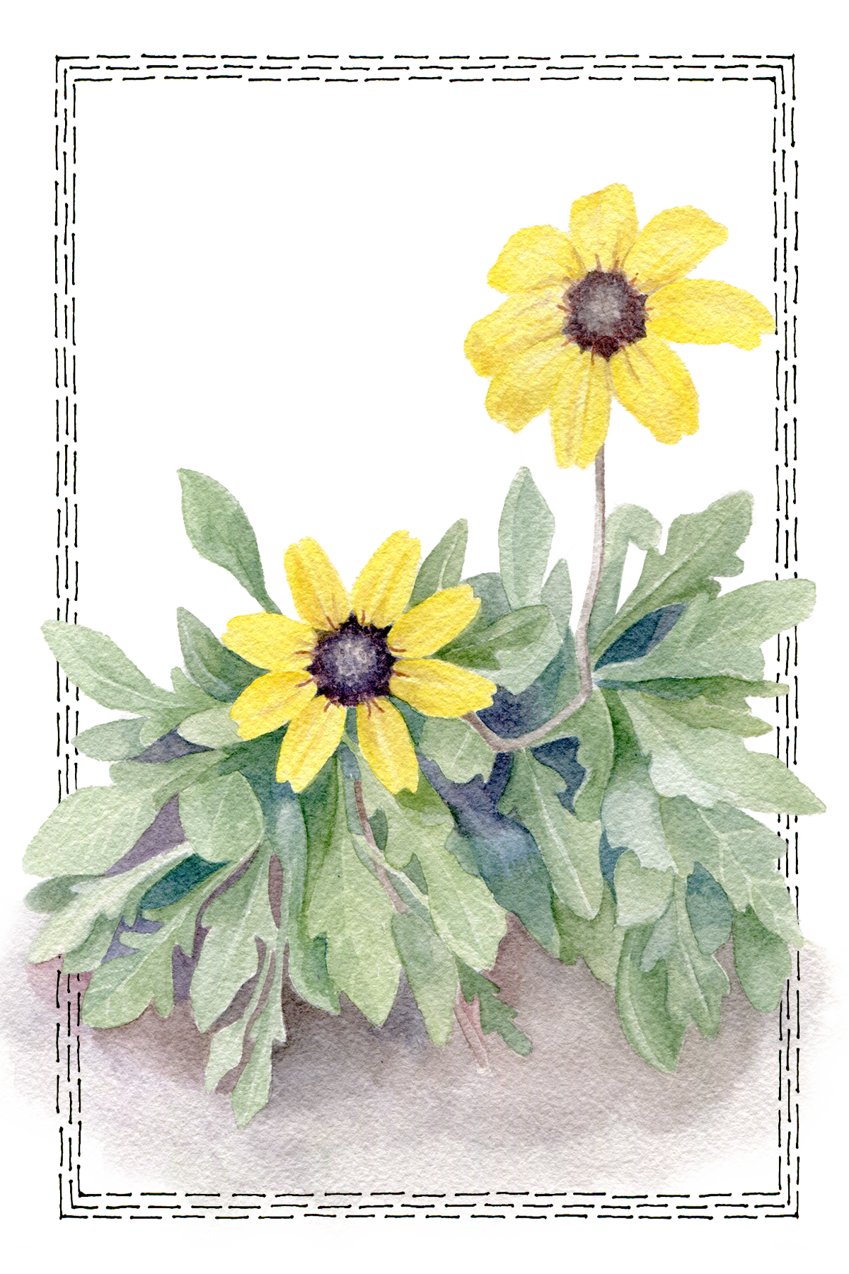 wc_chocolateflower.png