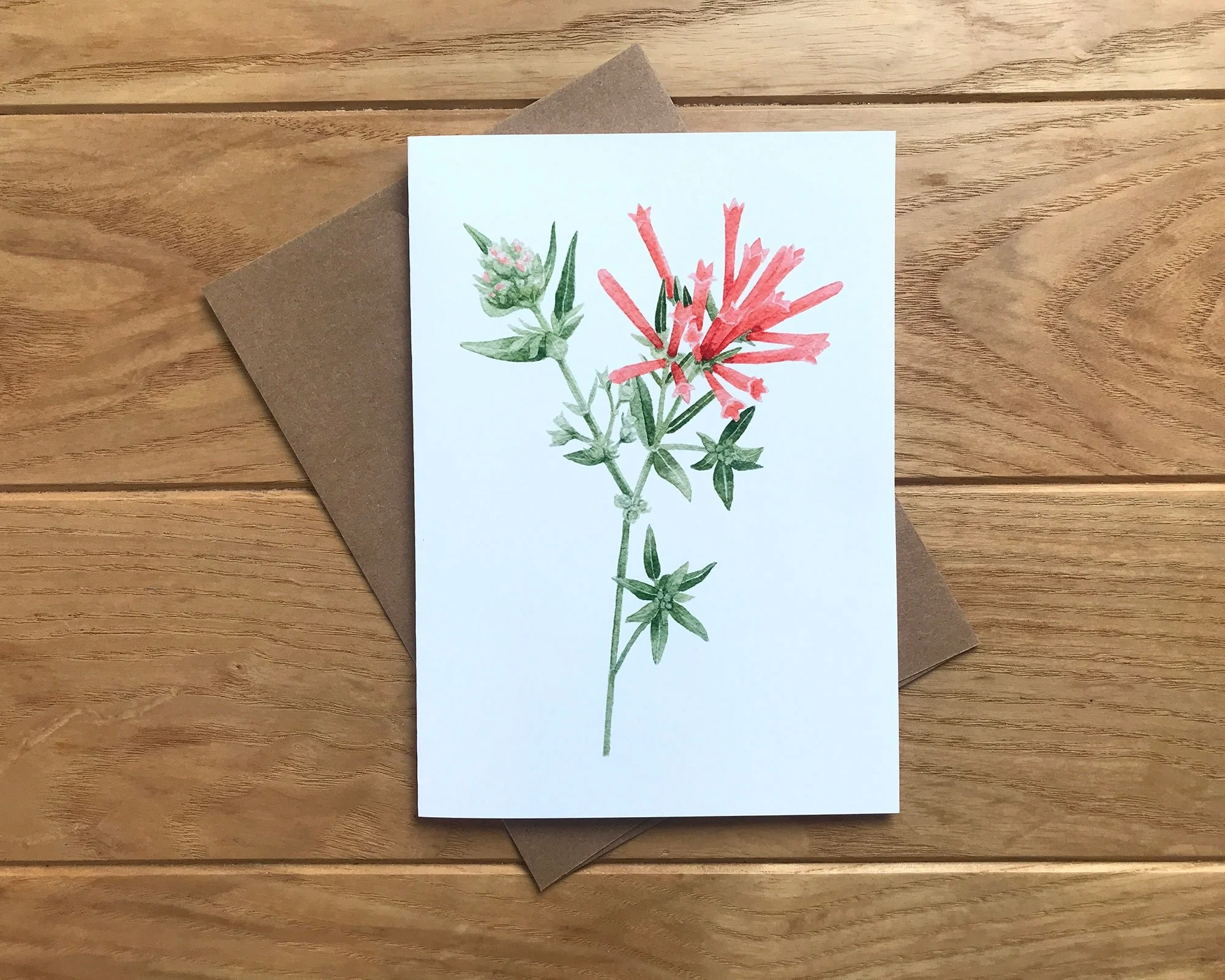 https://i.etsystatic.com/12324429/r/il/470665/3694109658/il_fullxfull.3694109658_qamh.jpg