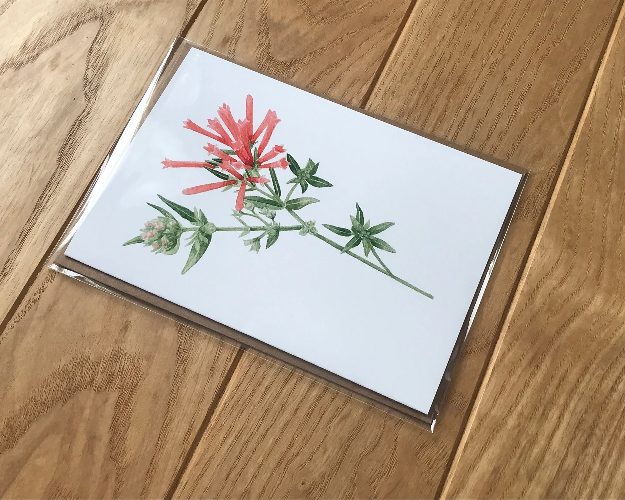 https://i.etsystatic.com/12324429/r/il/d2a72f/3741667475/il_fullxfull.3741667475_m2xz.jpg