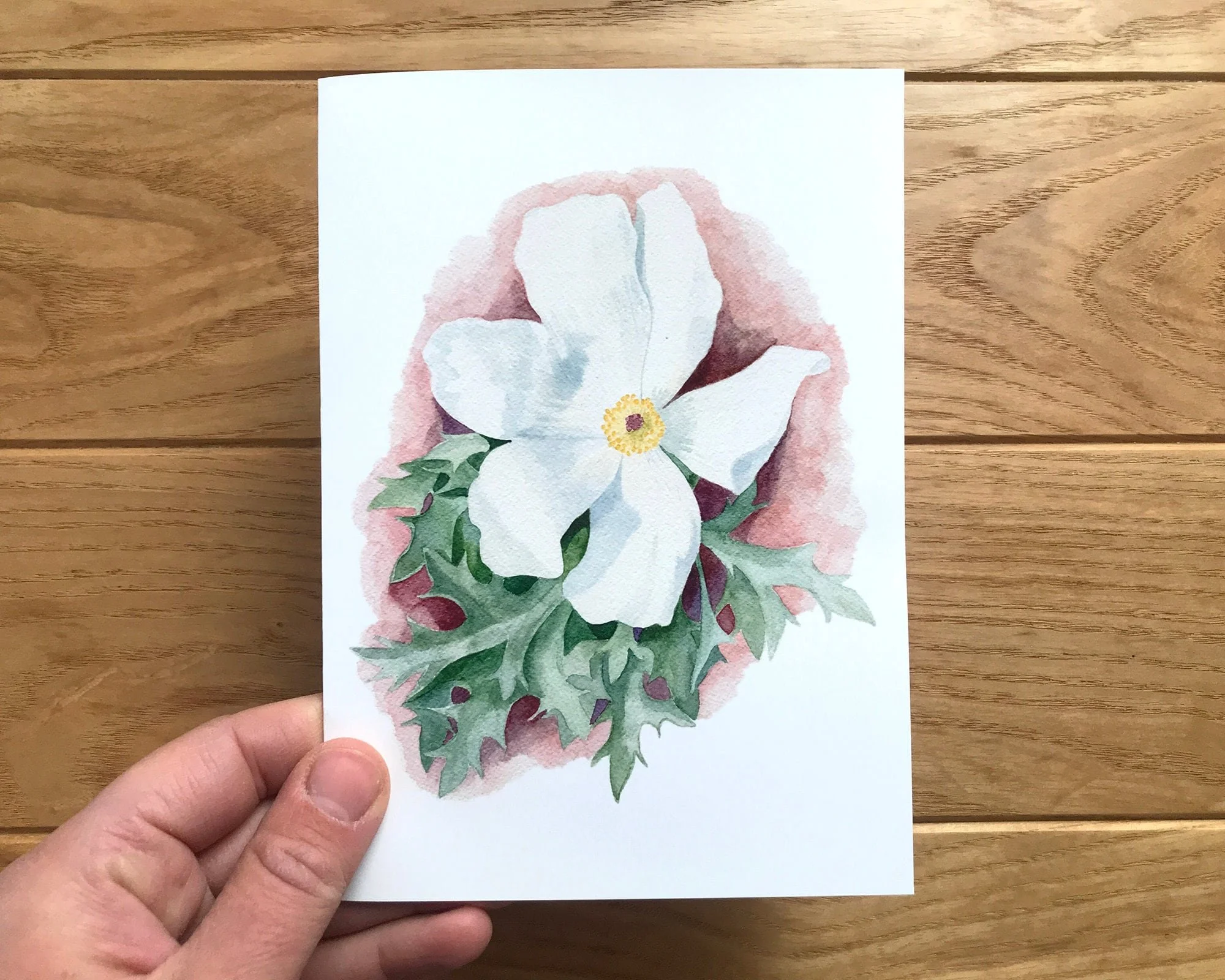https://i.etsystatic.com/12324429/r/il/d0bb2f/3694099204/il_fullxfull.3694099204_bza3.jpg