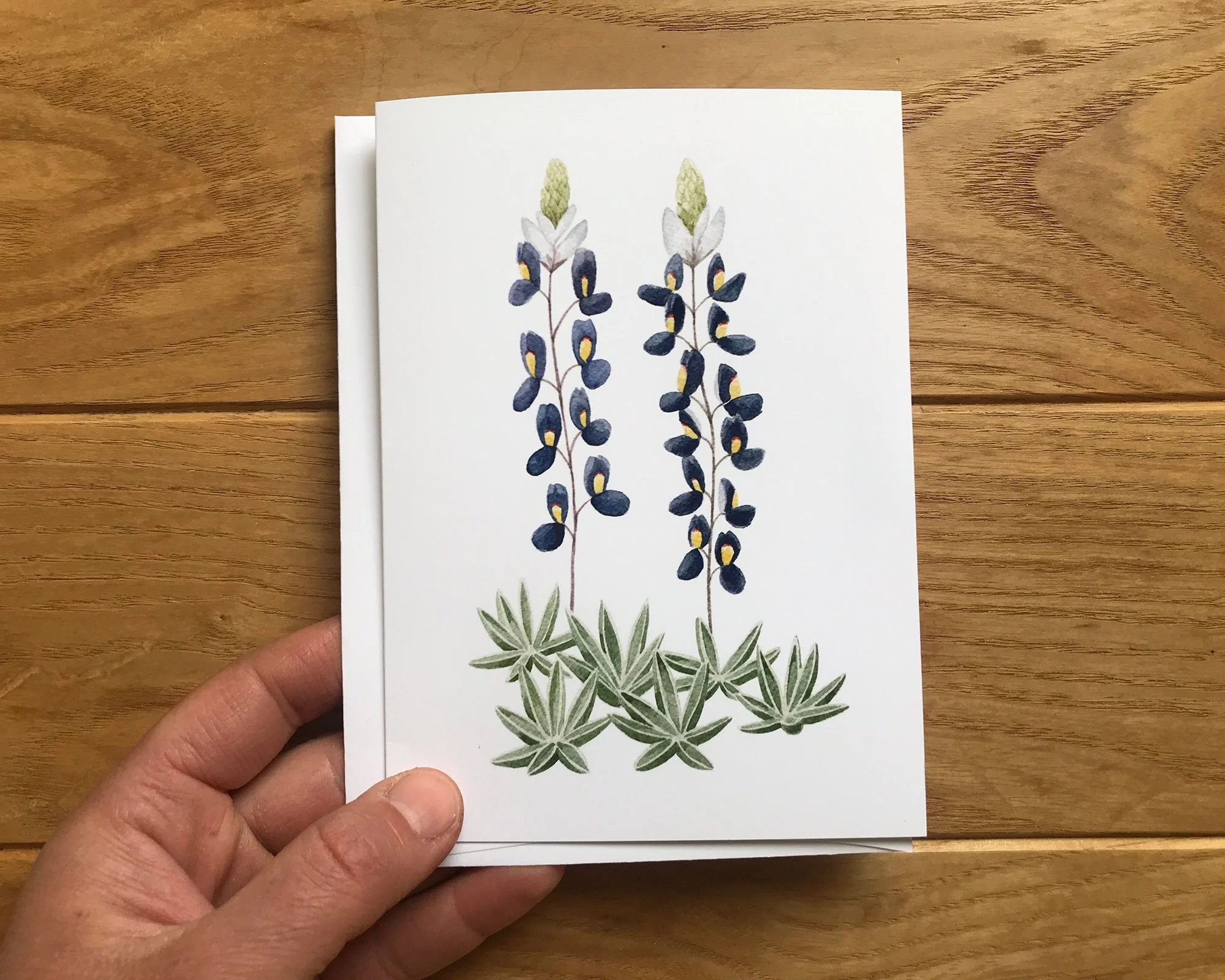 https://i.etsystatic.com/12324429/r/il/951c02/3692083924/il_fullxfull.3692083924_2fa6.jpg