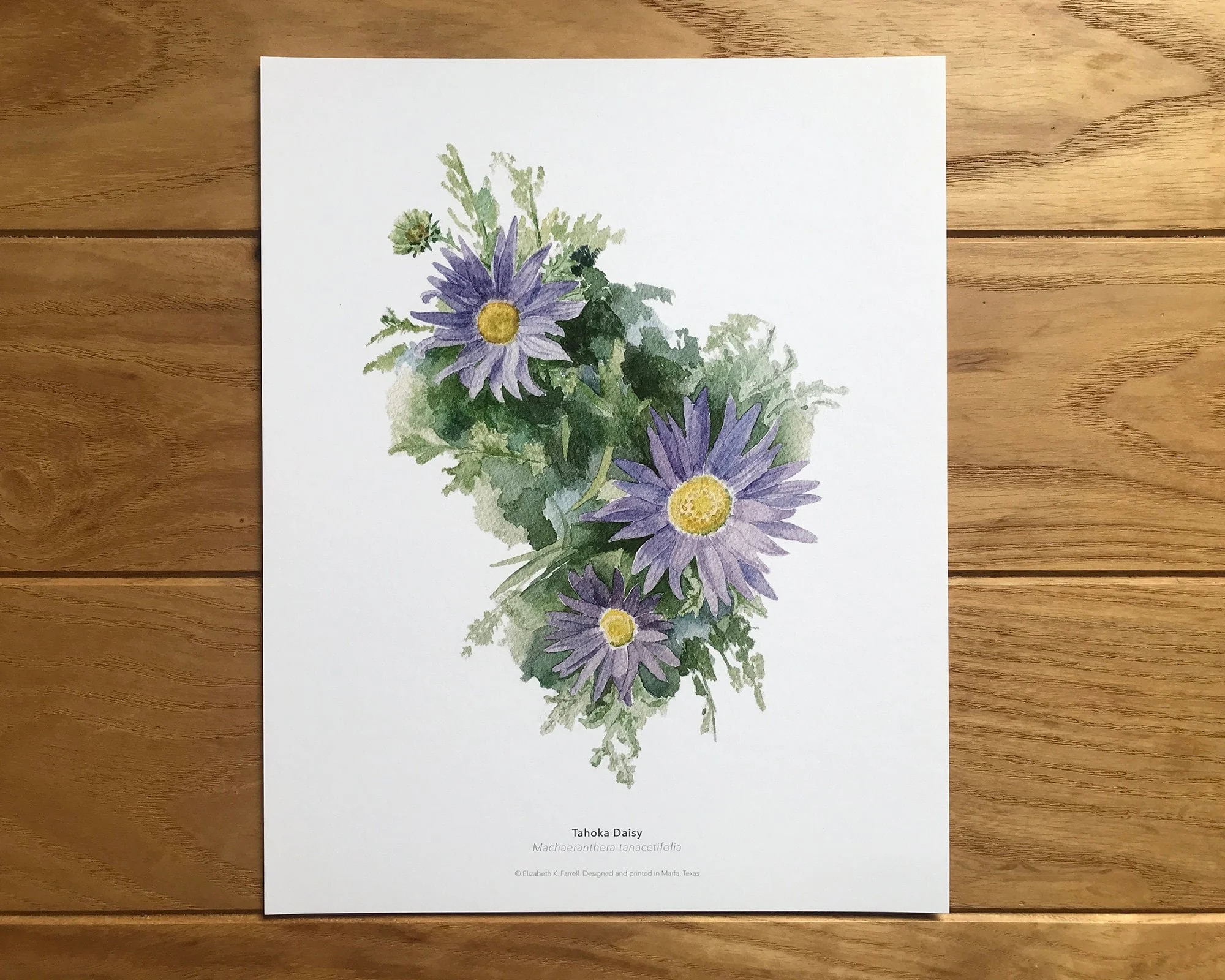 https://i.etsystatic.com/12324429/r/il/5dcc6d/3691474916/il_fullxfull.3691474916_2yyz.jpg