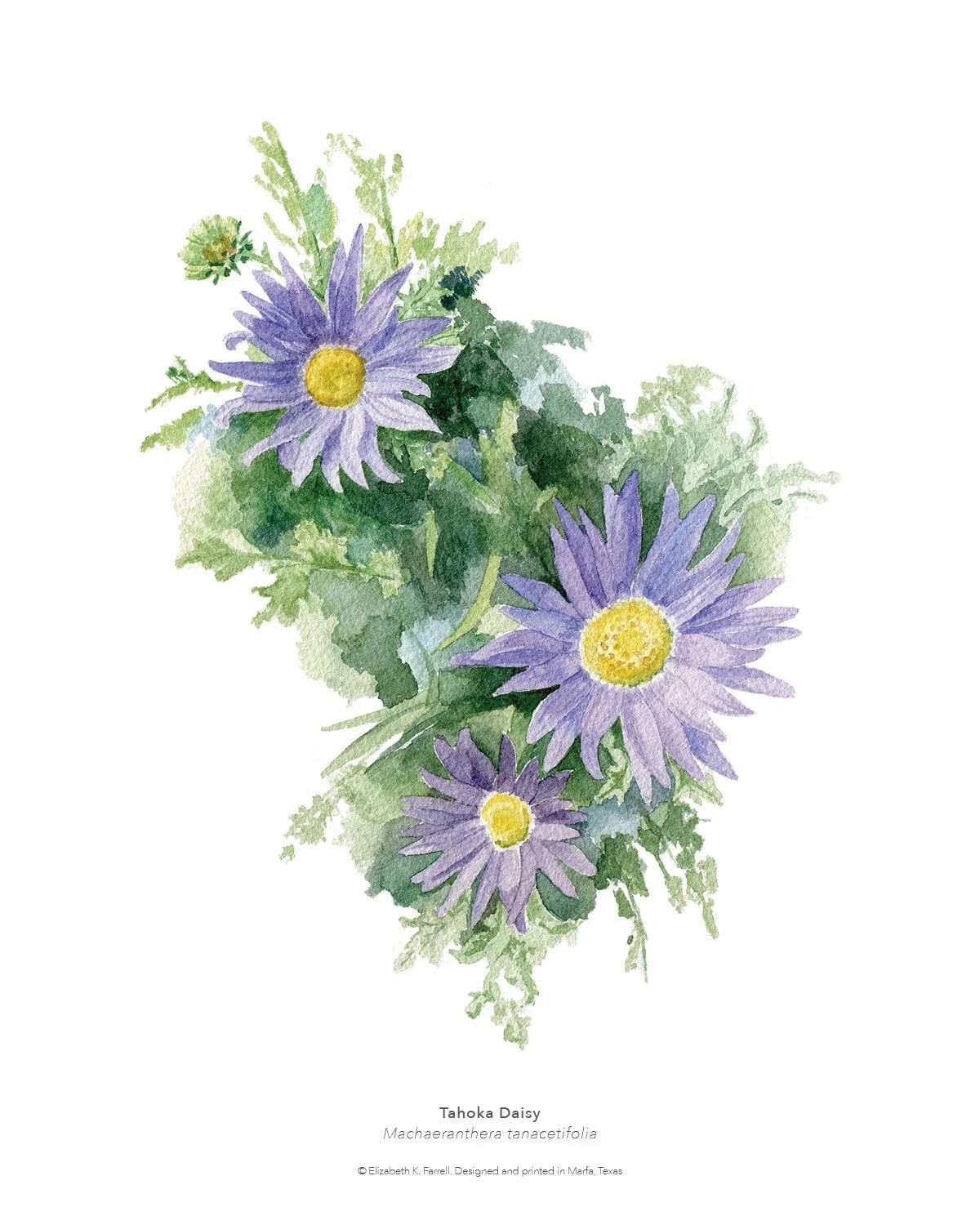 https://i.etsystatic.com/12324429/r/il/c861a3/3569809651/il_fullxfull.3569809651_8auj.jpg