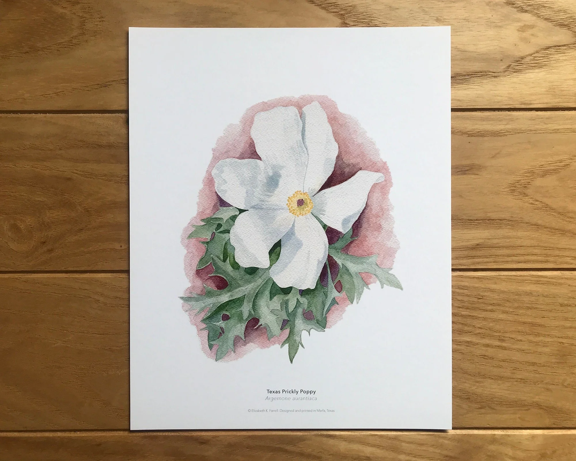 https://i.etsystatic.com/12324429/r/il/c6054e/3691472840/il_fullxfull.3691472840_9dmh.jpg