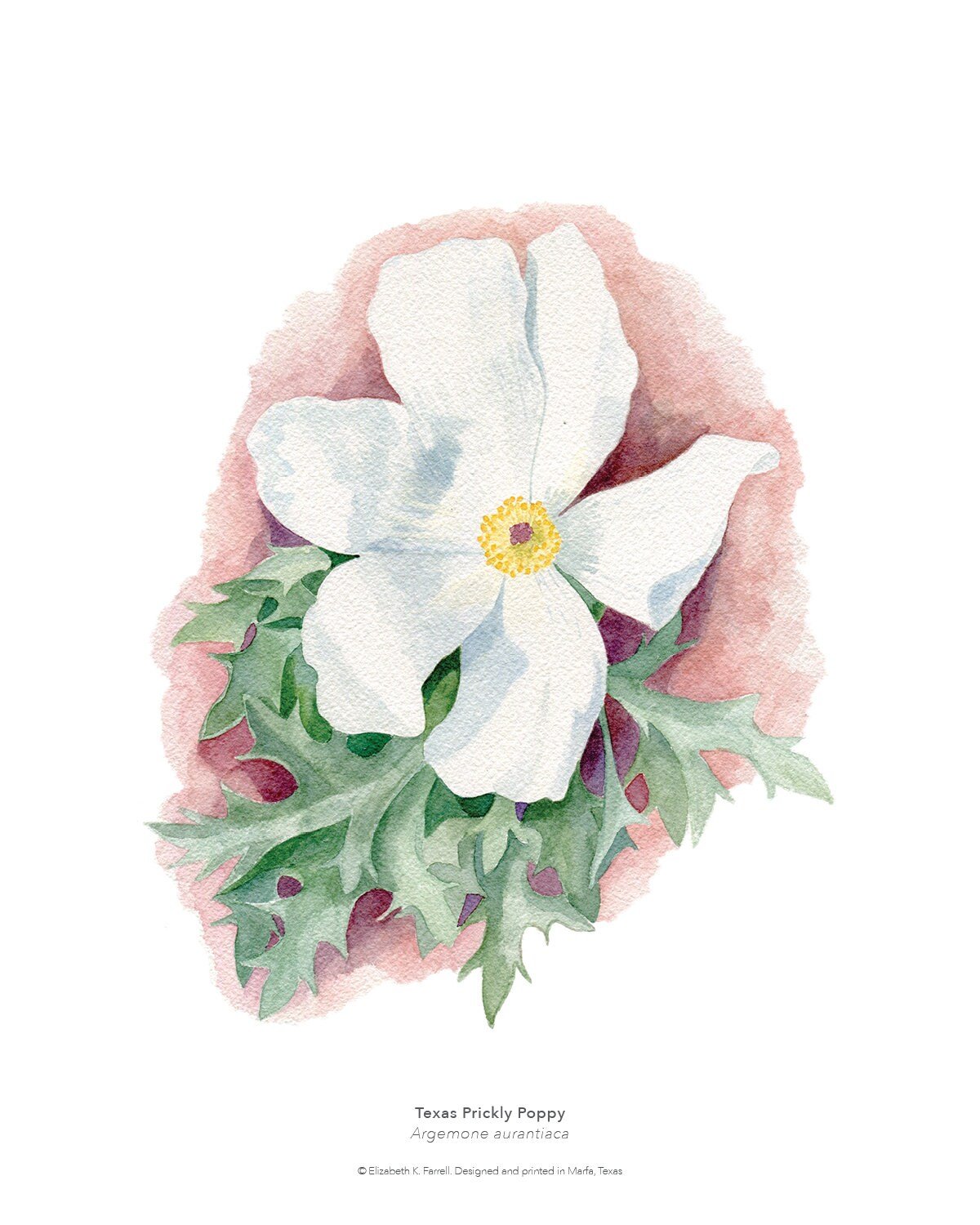 https://i.etsystatic.com/12324429/r/il/256e46/3522172842/il_fullxfull.3522172842_5wgl.jpg