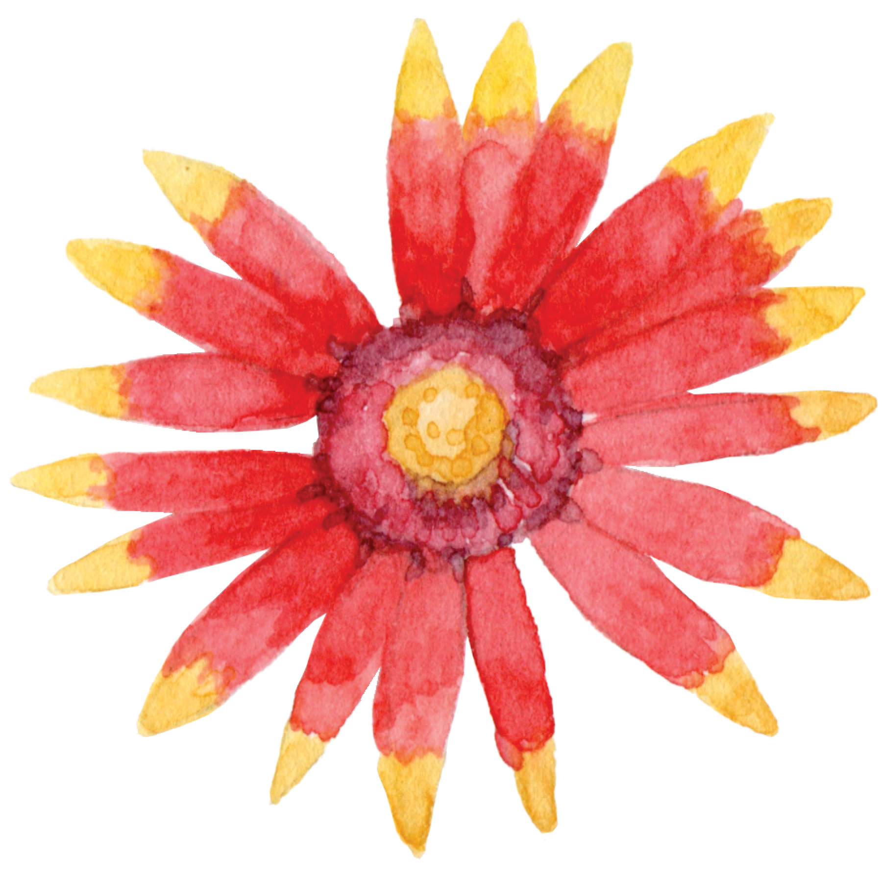 stickers png 600dpi.png