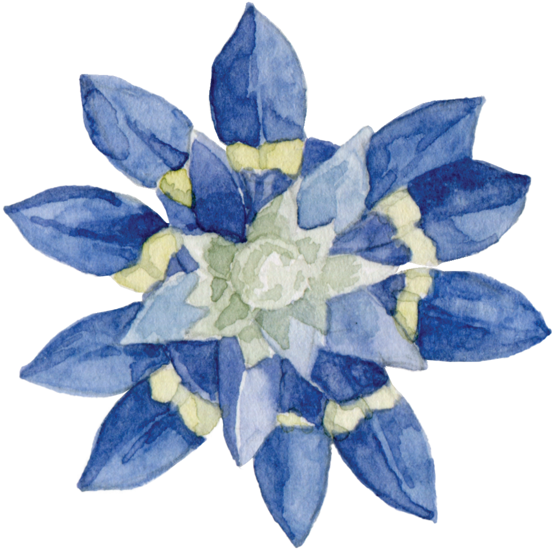 stickers png 600dpi3.png