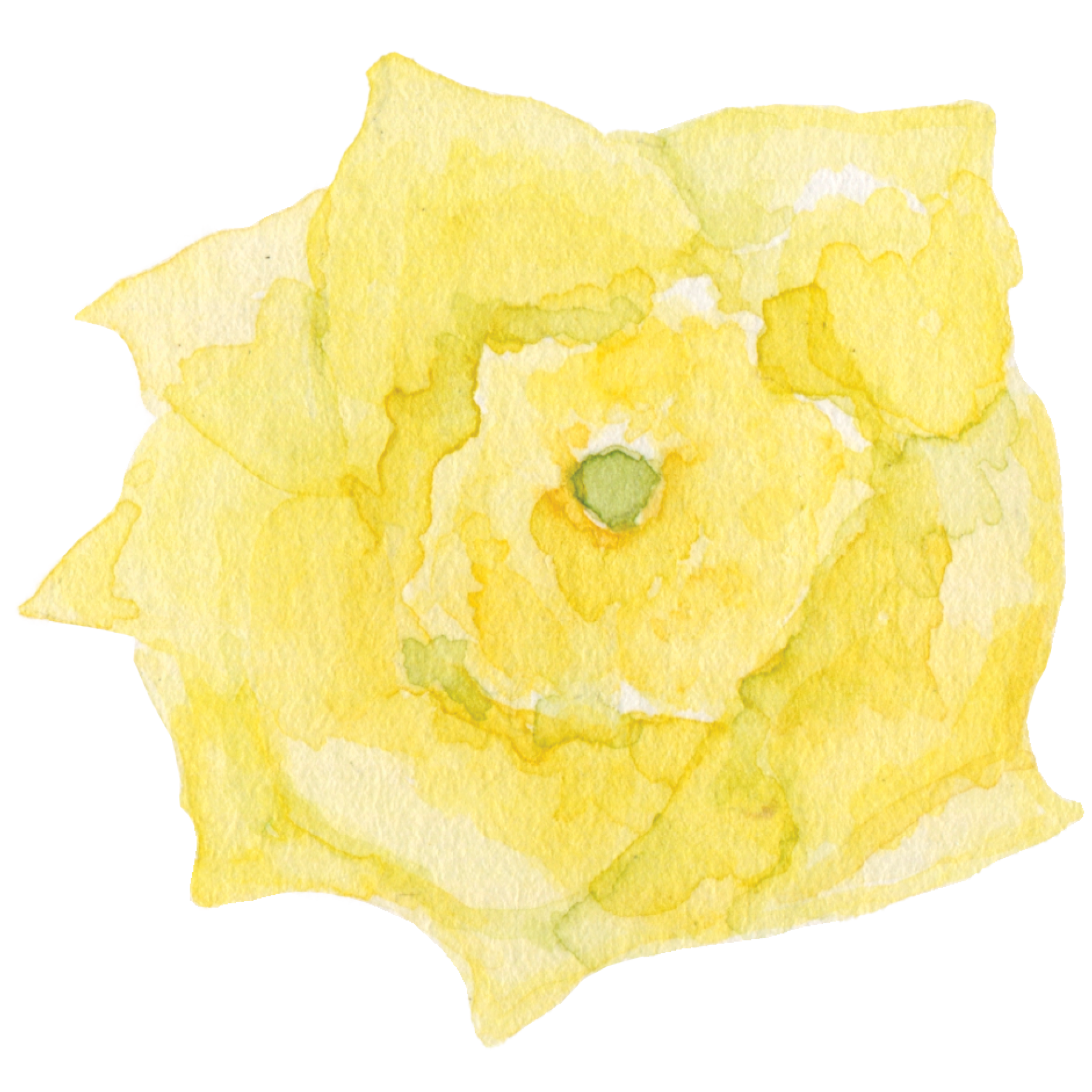 stickers png 600dpi2.png