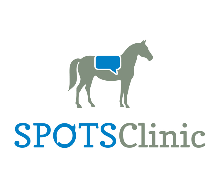 SPOTS Clinic practices hippotherapy, a form of speech therapy that incorporates horses. As children are the main clientele, I incorprated the notion of speech in a playful manner with a speech bubble saddle.