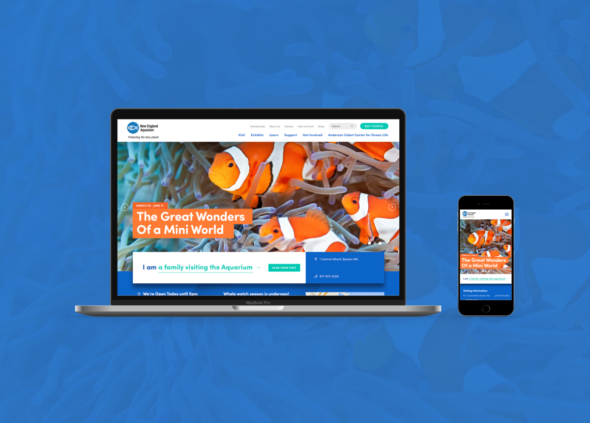 NEAQ - Thumbnail.png