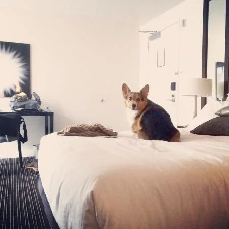 corg hotel 1.jpg