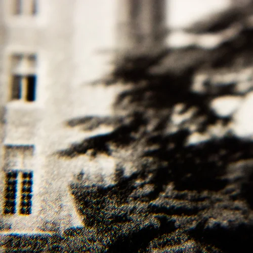 Detail: Terroir , 2013 Available as an archival 8" x 10" print from Grove & Ceremony