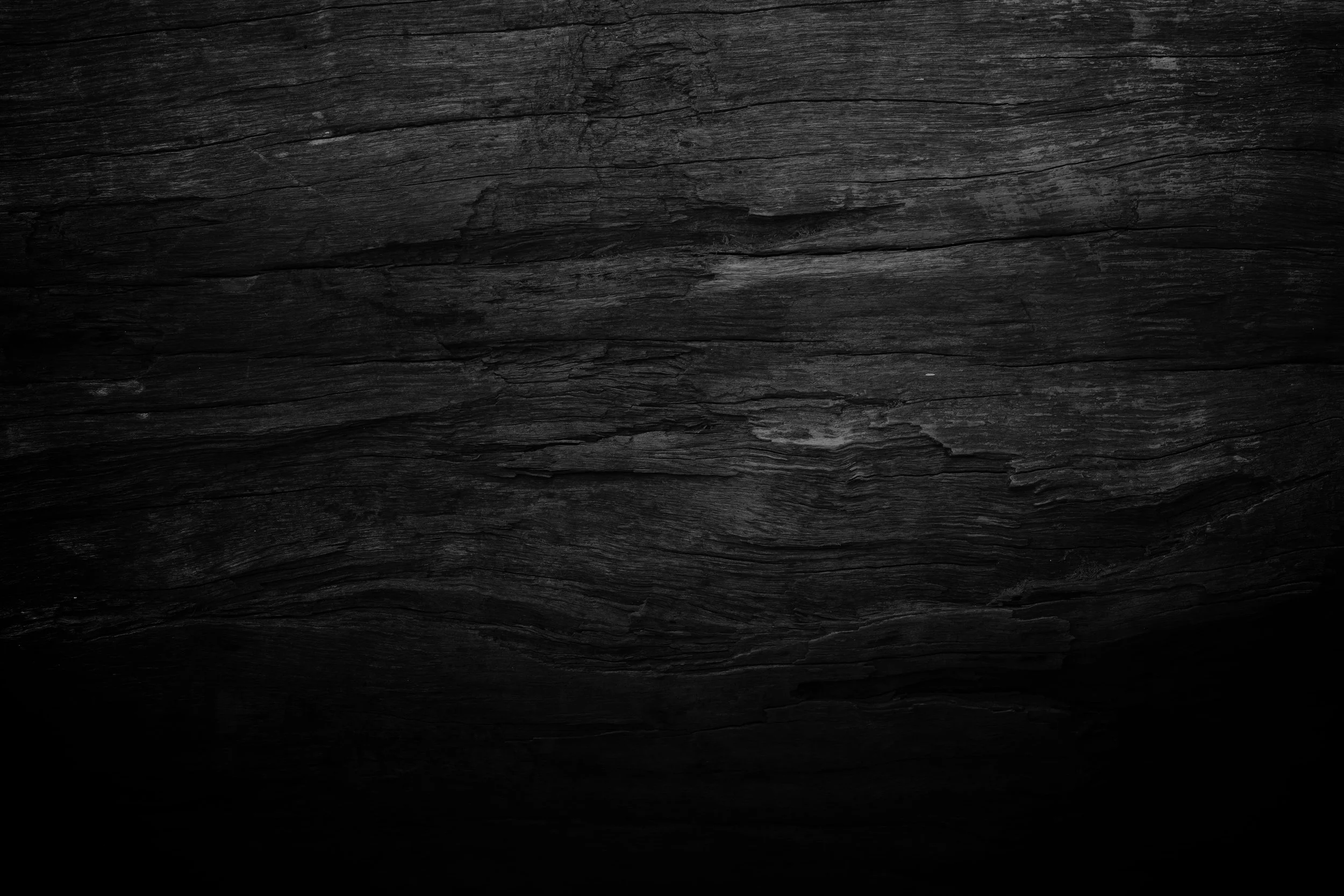 AdobeStock_103474203.jpeg
