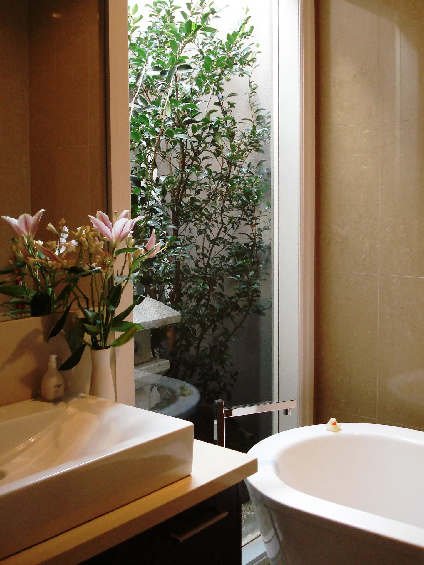 Bathroom-with-outdoor-garden.jpg