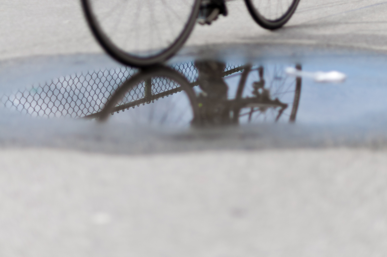 DSC_0120.jpg