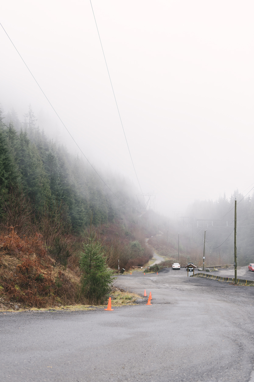 grouse-mountain-engagement-01.jpg