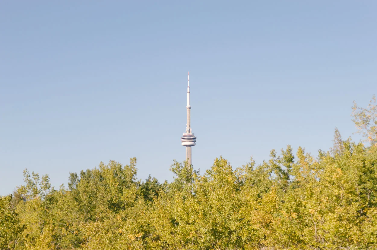 DSC_0241.jpg