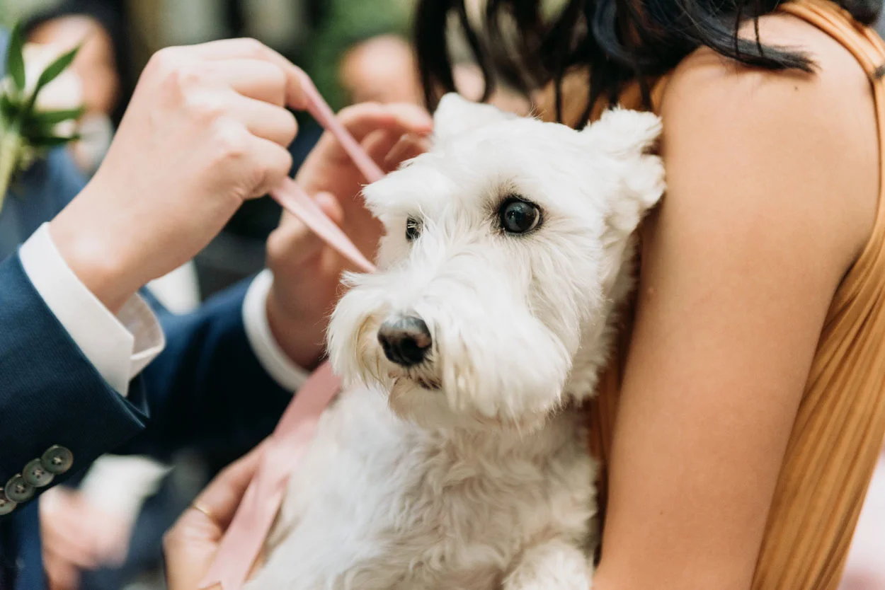yaletown-wedding-11.jpg