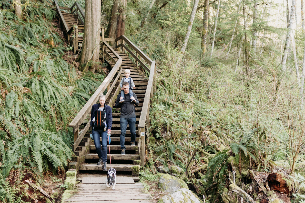 lynn-valley-family-hike-1.jpg