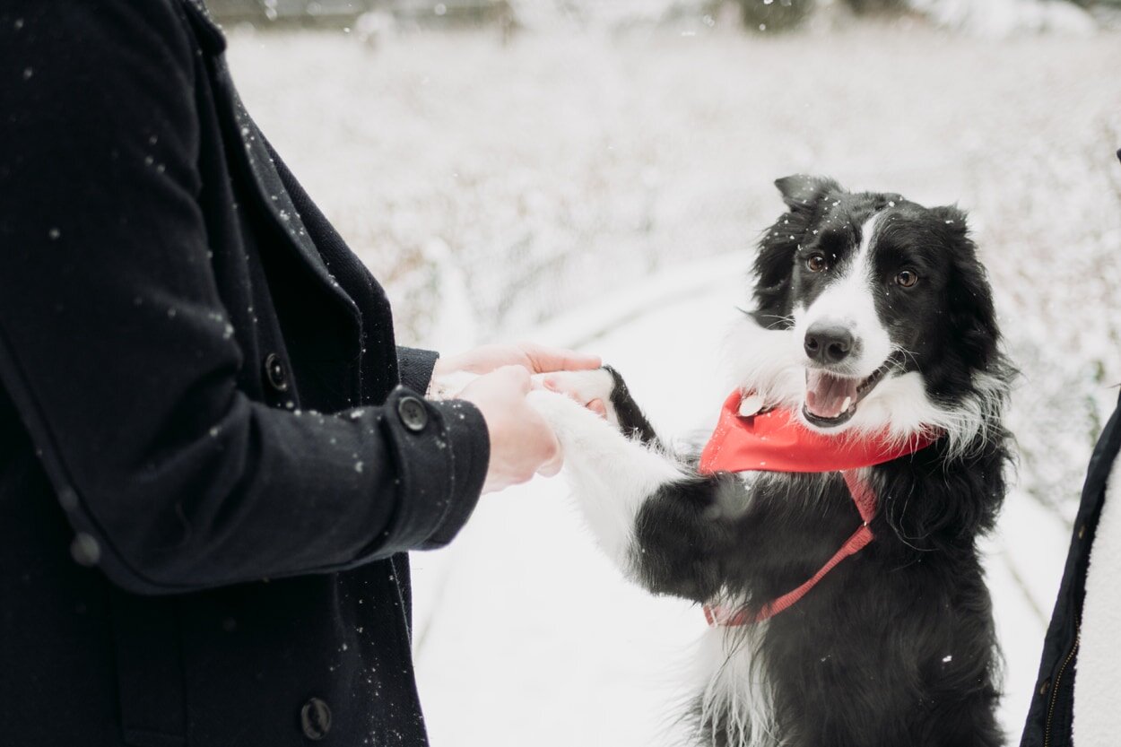 pacific-spirit-park-snow-engagement-15.jpg