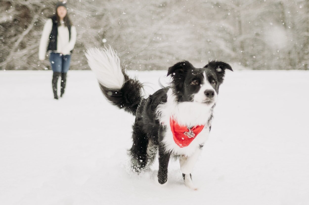 pacific-spirit-park-snow-engagement-23.jpg