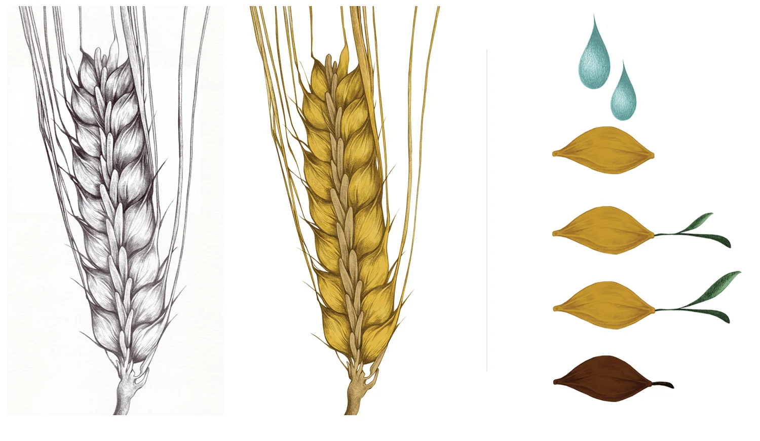Spread-Malt02.jpg