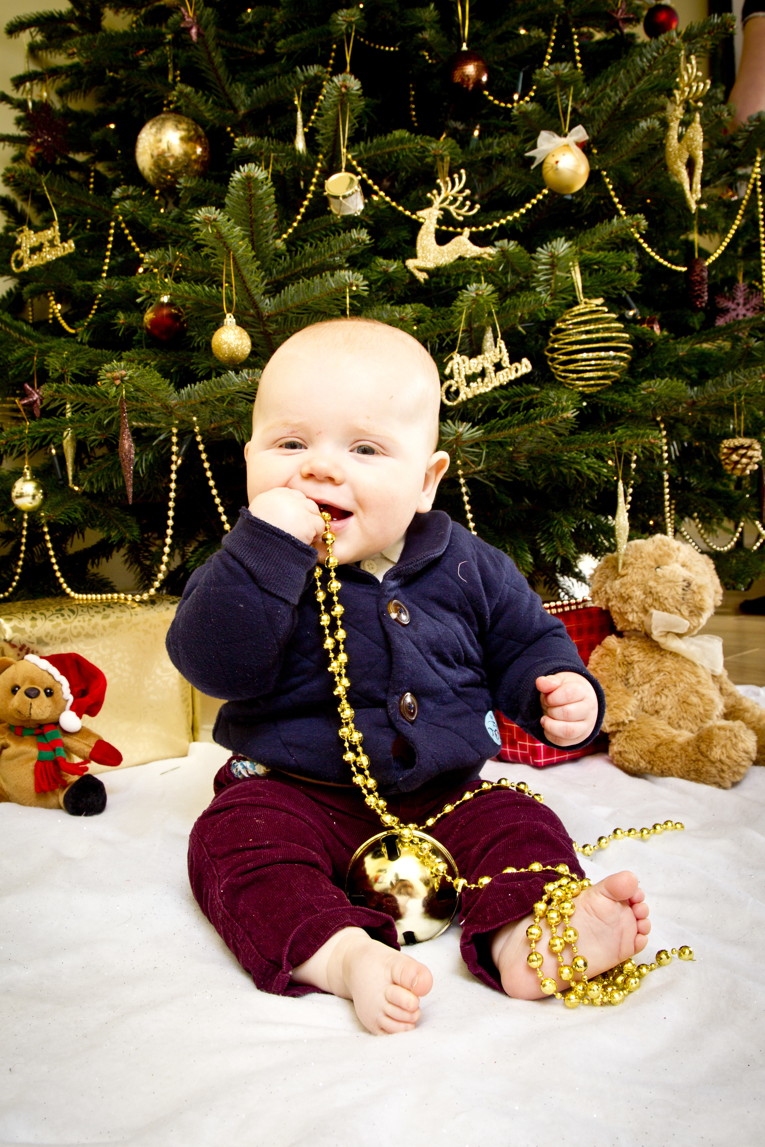 AB5X4923 12.01.28.jpg