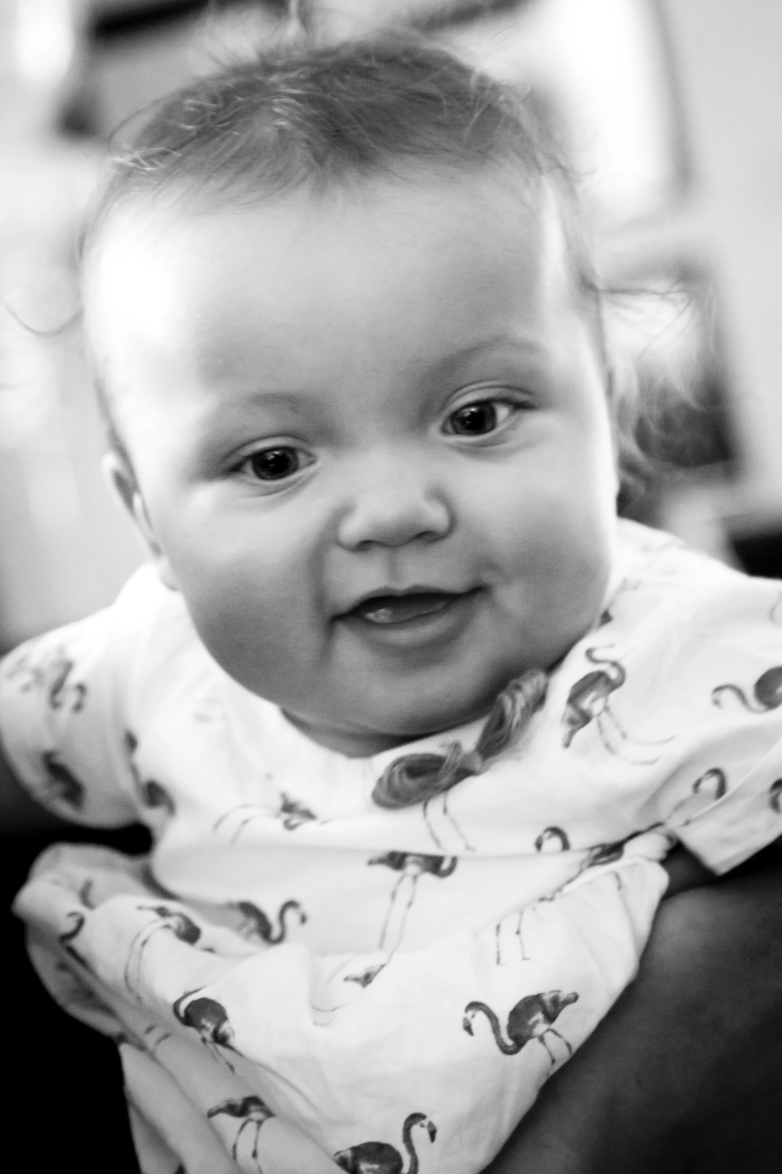 AB5X8212BW.jpg