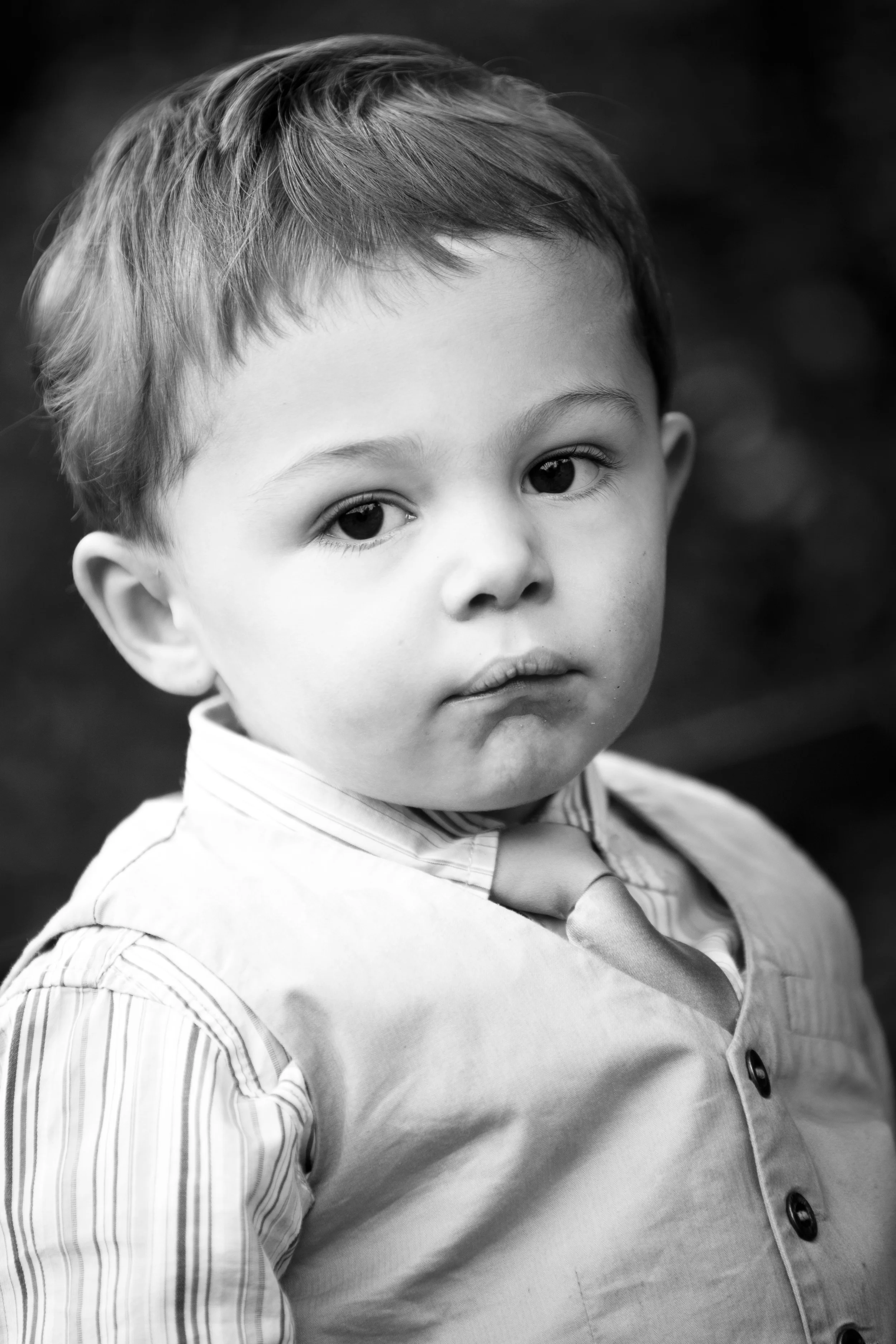 AB5X8393BW.jpg