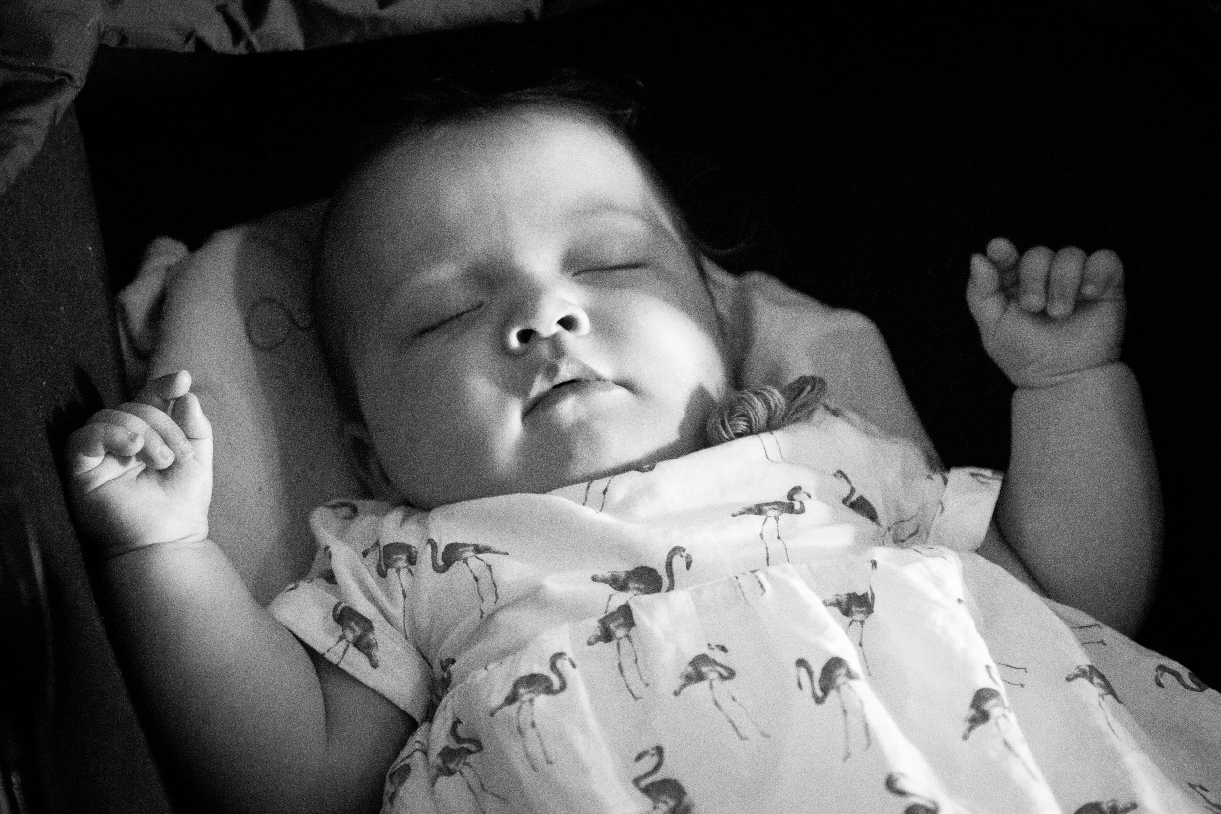AB5X8582BW.jpg