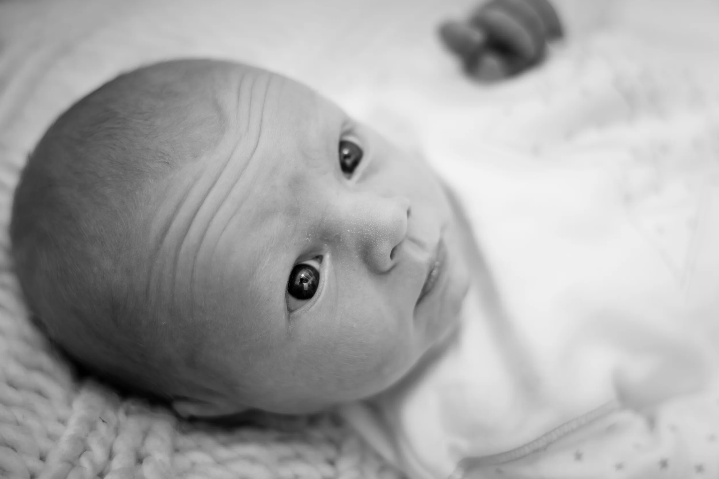 TJP_058BW.jpg